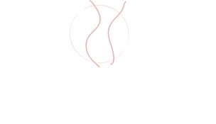 Dr Hugo Pin Logo Footer